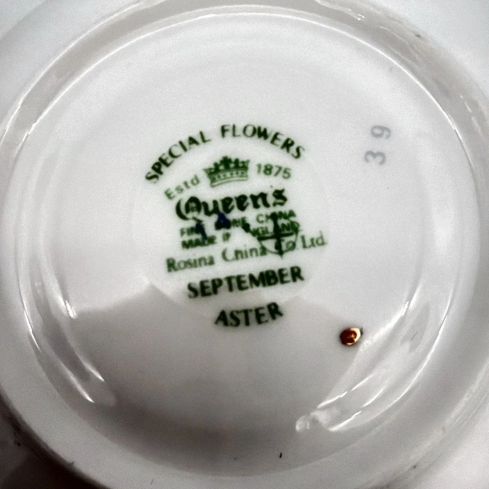 Vintage Queen's Rosina Wild Flowers fine bone china Tea cup with matching saucer